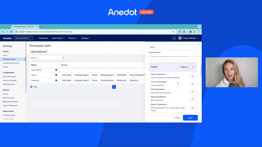 What are Teams/Custom Permission Sets?