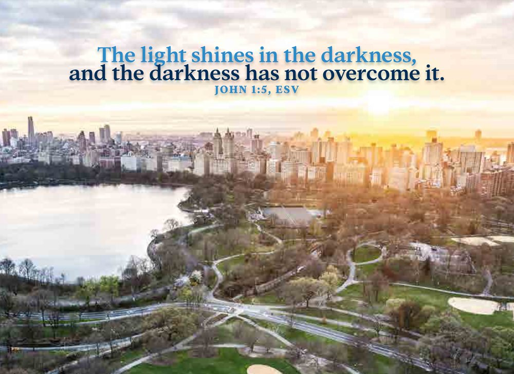 Samaritan's Purse annual report example